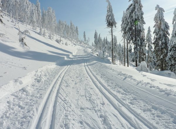 Běžecké stopy - Dolní Morava